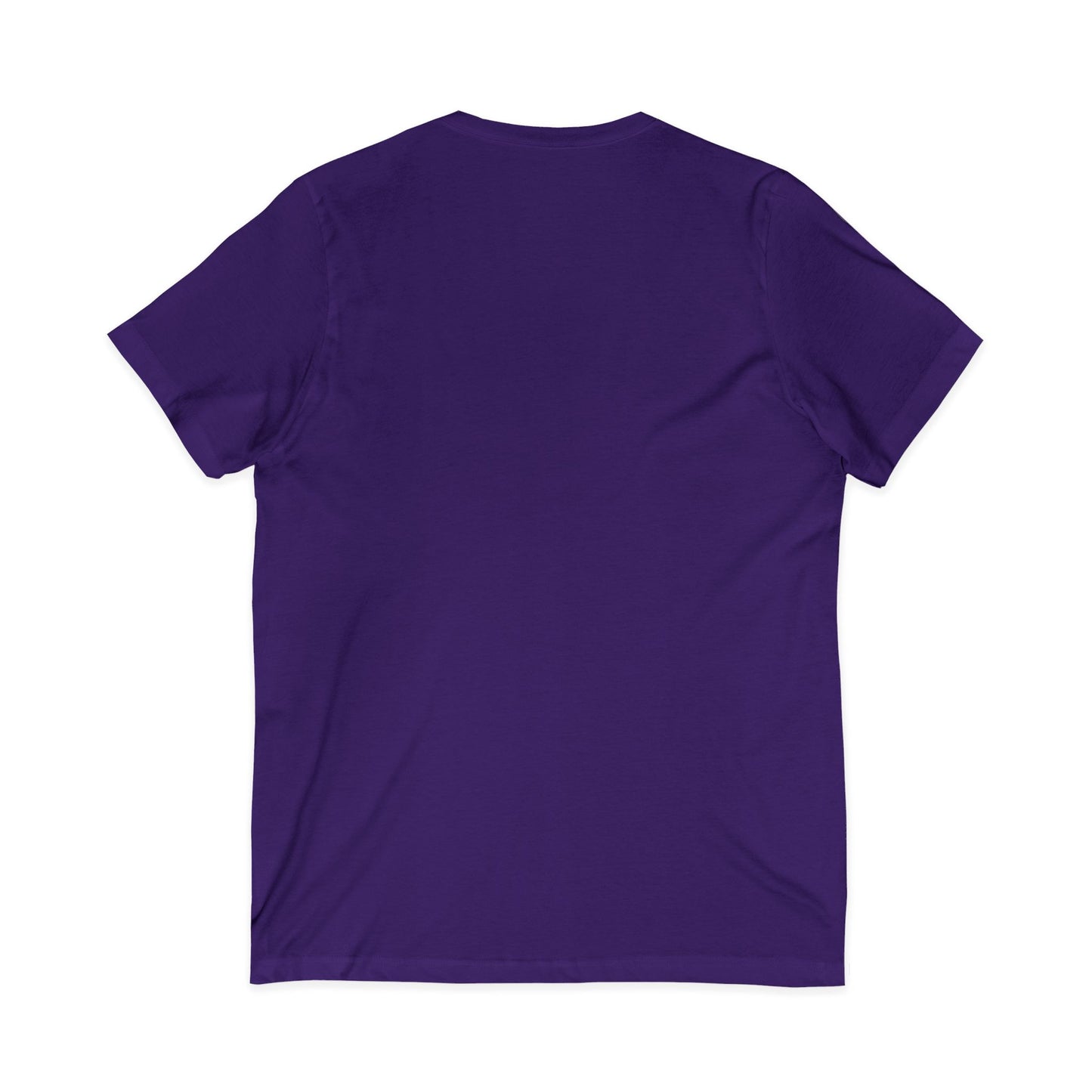 803 Ladies V-Neck Tee